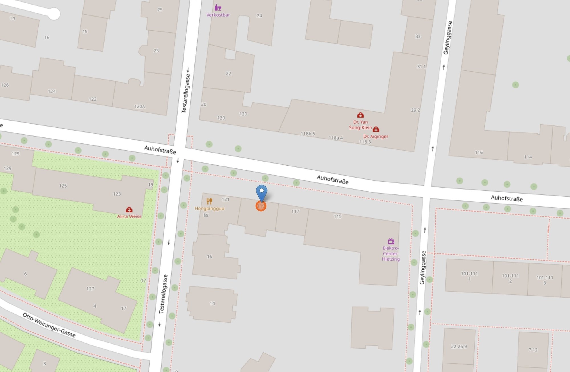 Auhofstr 119 Karte